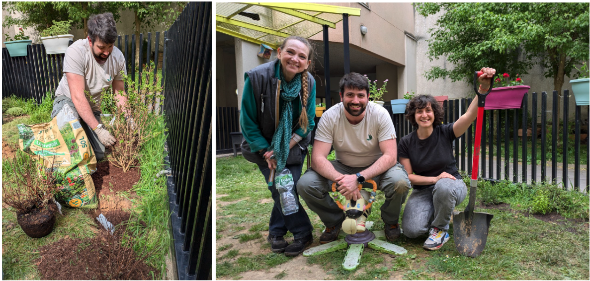 Equipe de la Fondation Georges Truffaut et des Crocos Crocos mettant en place le jardin sensoriel de la crèche dans le cadre d'un mécénat, 2025-05-25