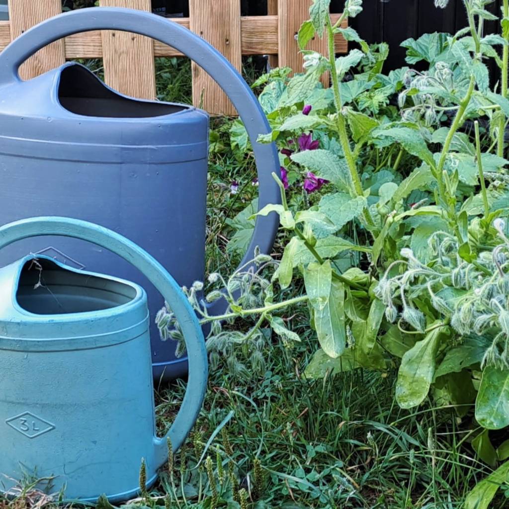 Arrosoirs et plantes dans le jardin de la crèche parentale et associative Les Crocos, Paris 12, 2025-06-21